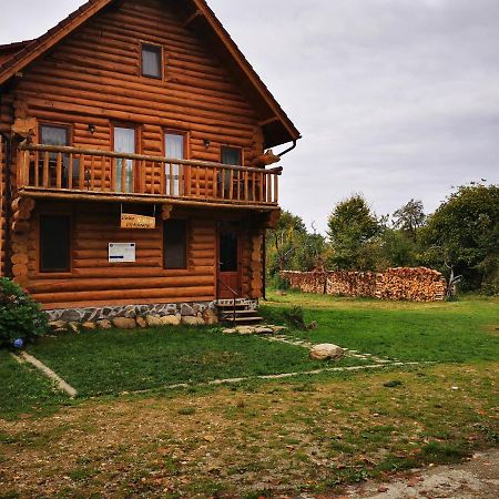 Valea Vistisoarei Villa Vistisoara Exteriör bild