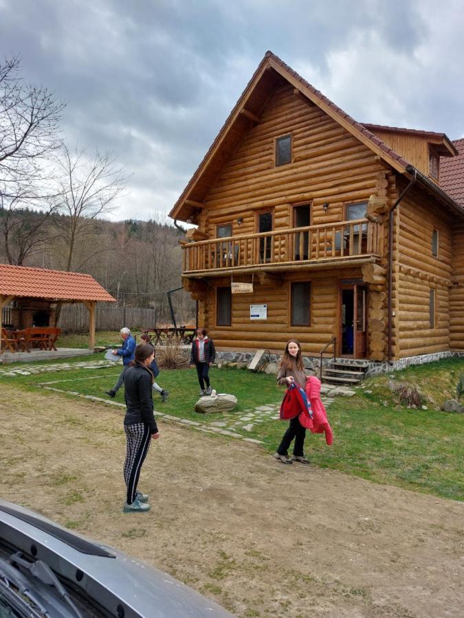 Valea Vistisoarei Villa Vistisoara Exteriör bild