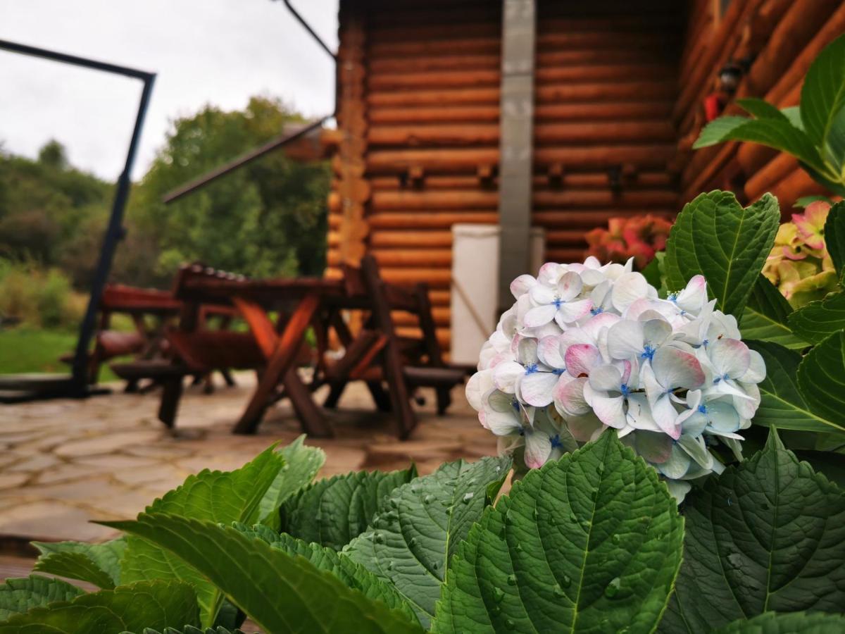 Valea Vistisoarei Villa Vistisoara Exteriör bild