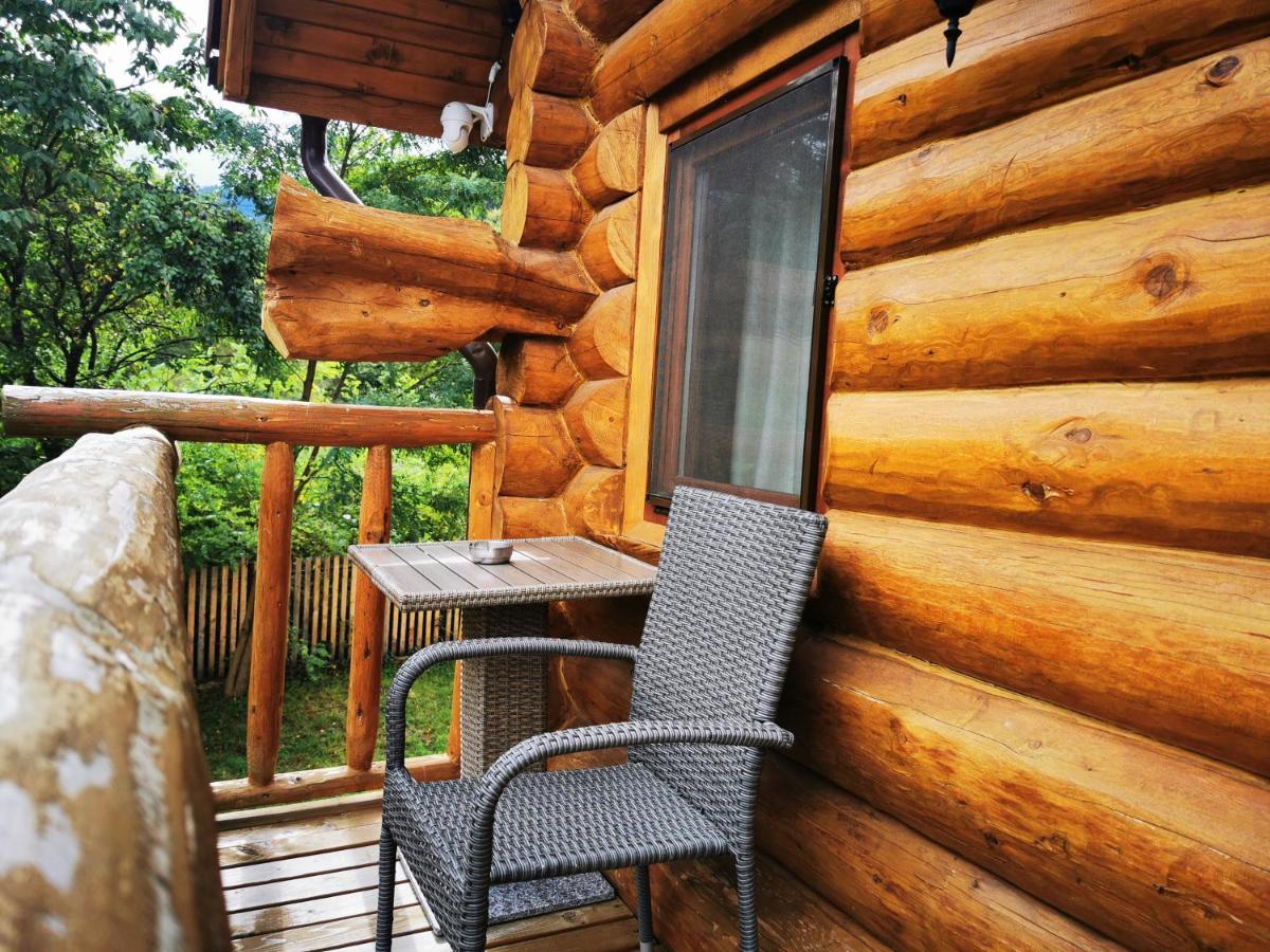 Valea Vistisoarei Villa Vistisoara Exteriör bild