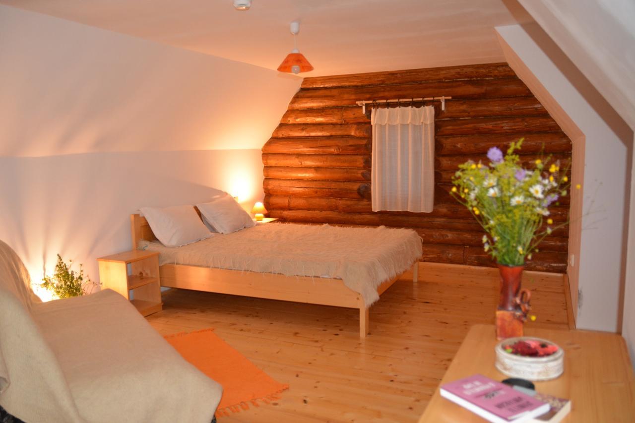 Valea Vistisoarei Villa Vistisoara Exteriör bild