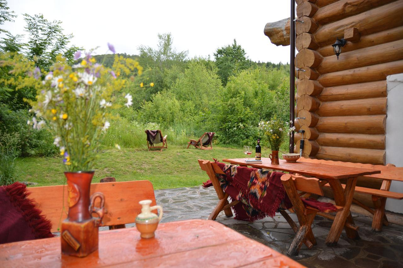 Valea Vistisoarei Villa Vistisoara Exteriör bild