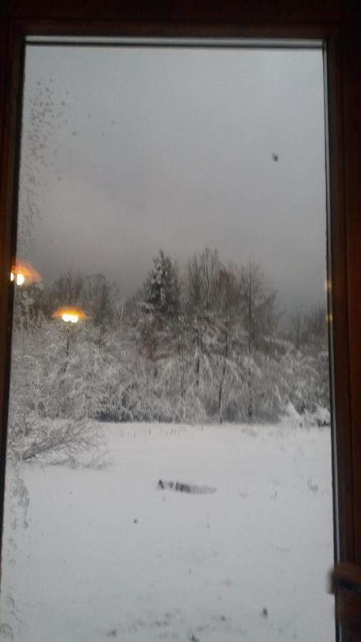 Valea Vistisoarei Villa Vistisoara Exteriör bild