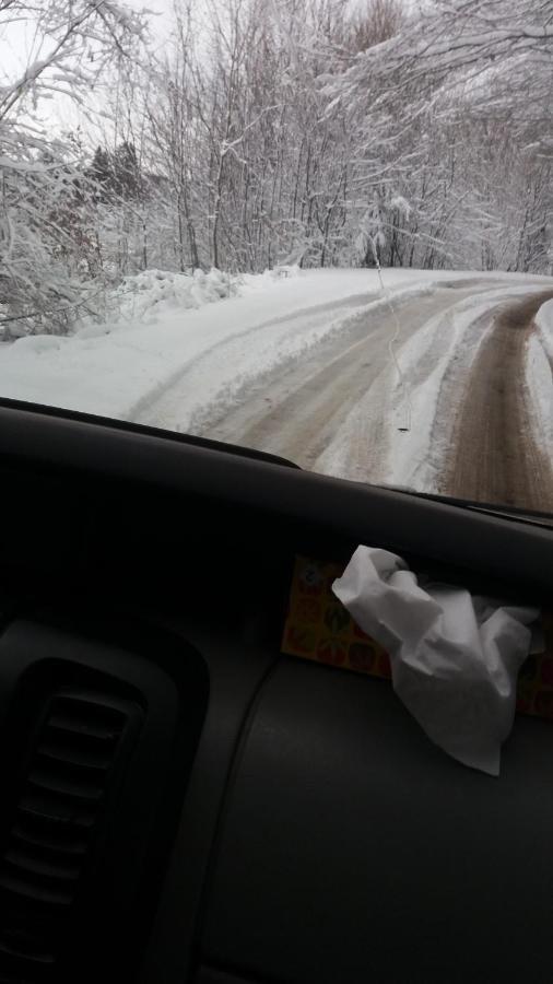 Valea Vistisoarei Villa Vistisoara Exteriör bild