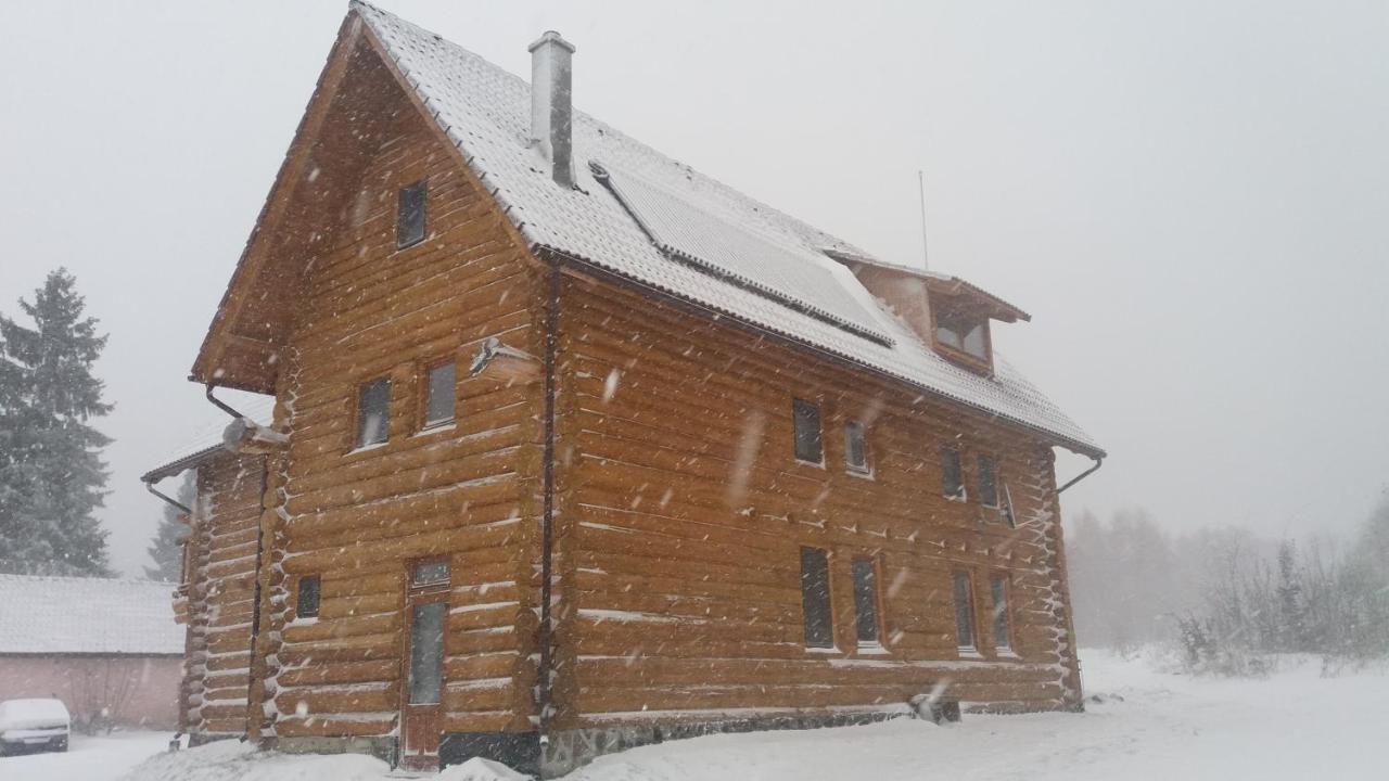 Valea Vistisoarei Villa Vistisoara Exteriör bild