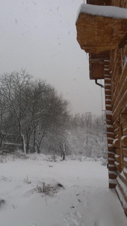 Valea Vistisoarei Villa Vistisoara Exteriör bild
